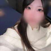 ヒメ日記 2025/06/23 08:15 投稿 はる アラカルト