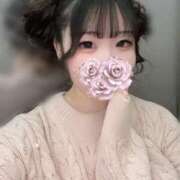 ヒメ日記 2025/06/27 16:27 投稿 はる アラカルト