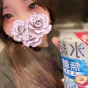 ヒメ日記 2025/07/29 00:58 投稿 はる アラカルト