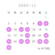 ヒメ日記 2025/11/06 06:00 投稿 はる アラカルト