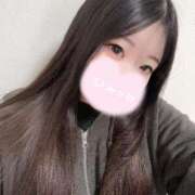 ヒメ日記 2025/11/11 09:15 投稿 はる アラカルト