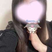 ヒメ日記 2026/01/17 08:23 投稿 はる アラカルト