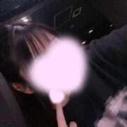 ヒメ日記 2026/01/28 09:03 投稿 はる アラカルト