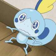 ヒメ日記 2026/03/25 08:10 投稿 はる アラカルト