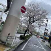 ヒメ日記 2026/04/02 07:01 投稿 はる アラカルト