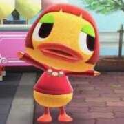 ヒメ日記 2026/04/20 01:10 投稿 はる アラカルト