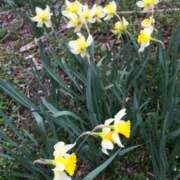 ヒメ日記 2025/07/07 10:17 投稿 中田 変態美熟女お貸しします。