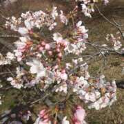 ヒメ日記 2025/09/26 09:54 投稿 中田 変態美熟女お貸しします。