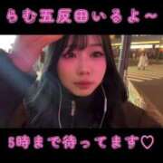 ヒメ日記 2025/02/18 00:27 投稿 三月らむ 五反田ウルトラファンタジー