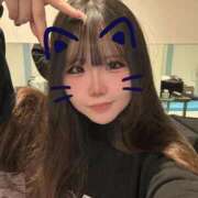 ヒメ日記 2025/03/20 17:26 投稿 しすい マリン宇都宮店