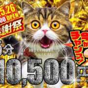 ヒメ日記 2025/05/25 20:59 投稿 こう 奴隷コレクション