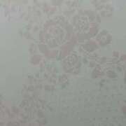 ヒメ日記 2025/06/04 10:05 投稿 水嶋　かれん しこたま奥様 札幌店