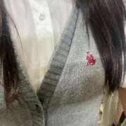 ヒメ日記 2024/12/30 23:35 投稿 ちゅちゅ 子猫カフェ 小倉店