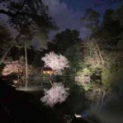 ヒメ日記 2026/04/09 13:01 投稿 かなで 熟女の風俗最終章 本厚木店