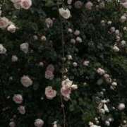 ヒメ日記 2025/05/16 13:59 投稿 えり スパーク日本橋