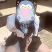 ヒメ日記 2025/03/20 23:32 投稿 いろは ときめき純情ロリ学園～東京乙女組 新宿校