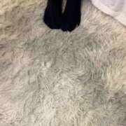 ヒメ日記 2025/06/05 22:22 投稿 いろは ときめき純情ロリ学園～東京乙女組 新宿校