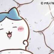 ヒメ日記 2025/02/07 08:07 投稿 坂本★ プリマドンナ