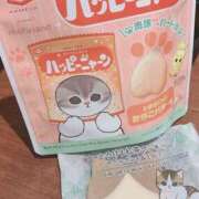 ヒメ日記 2025/02/24 09:37 投稿 坂本★ プリマドンナ