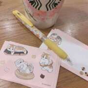 ヒメ日記 2025/03/11 16:27 投稿 坂本★ プリマドンナ