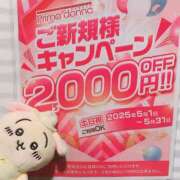 ヒメ日記 2025/05/02 11:43 投稿 坂本★ プリマドンナ