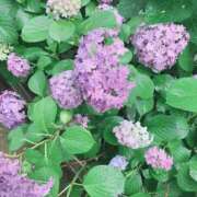 ヒメ日記 2025/05/30 09:47 投稿 坂本★ プリマドンナ