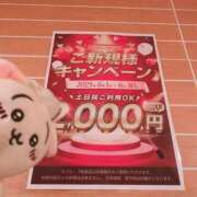 ヒメ日記 2025/06/06 13:49 投稿 坂本★ プリマドンナ