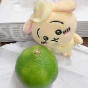 ヒメ日記 2025/10/21 09:37 投稿 坂本★ プリマドンナ