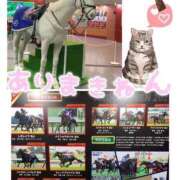 ヒメ日記 2025/12/26 17:52 投稿 坂本★ プリマドンナ