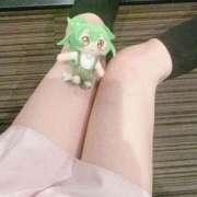 ヒメ日記 2026/03/01 10:43 投稿 坂本★ プリマドンナ