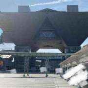 ヒメ日記 2026/03/21 14:57 投稿 坂本★ プリマドンナ