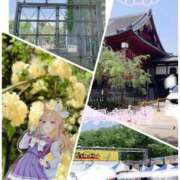 ヒメ日記 2026/04/17 11:27 投稿 坂本★ プリマドンナ