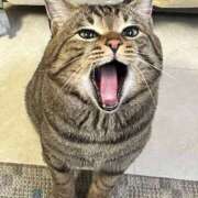 るり★ 明日 プリマドンナ