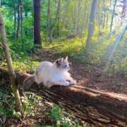 ヒメ日記 2025/12/18 21:07 投稿 るり★ プリマドンナ