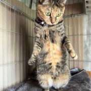 ヒメ日記 2025/12/27 19:17 投稿 るり★ プリマドンナ