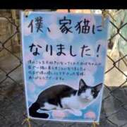 ヒメ日記 2026/02/06 20:47 投稿 るり★ プリマドンナ