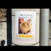 ヒメ日記 2026/02/07 14:27 投稿 るり★ プリマドンナ