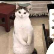 るり★ 明日明後日 プリマドンナ