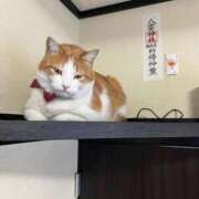 るり★ 明日と明後日 プリマドンナ