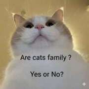 るり★ ご予約 プリマドンナ