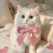 ヒメ日記 2026/03/18 23:07 投稿 るり★ プリマドンナ