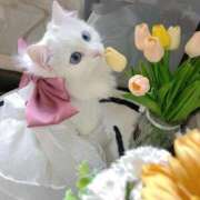 るり★ 空き状況 プリマドンナ