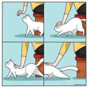 るり★ 明日🎵 プリマドンナ