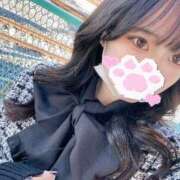 ヒメ日記 2025/05/08 04:33 投稿 コハク キャンディ(鹿児島)