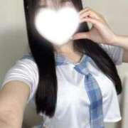 ヒメ日記 2025/10/29 17:20 投稿 コハク キャンディ(鹿児島)