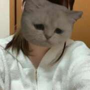 ヒメ日記 2025/04/28 12:27 投稿 うかchan AZUL本庄