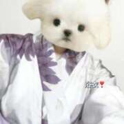 ヒメ日記 2025/09/04 15:41 投稿 うかchan AZUL本庄