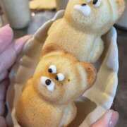 ヒメ日記 2025/02/23 19:19 投稿 諸星 えま 一夜妻　大阪ミナミ店