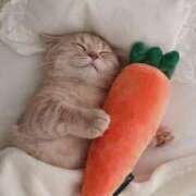 ヒメ日記 2025/05/17 20:14 投稿 諸星 えま 一夜妻　大阪ミナミ店