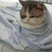 ヒメ日記 2025/07/15 16:44 投稿 諸星 えま 一夜妻　大阪ミナミ店